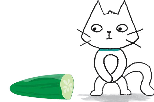 Why Are Cats Afraid of Cucumbers? Understanding Viral Videos