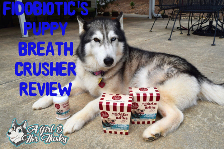 A Girl and Her Husky Reviews Puppy Breath Crusher