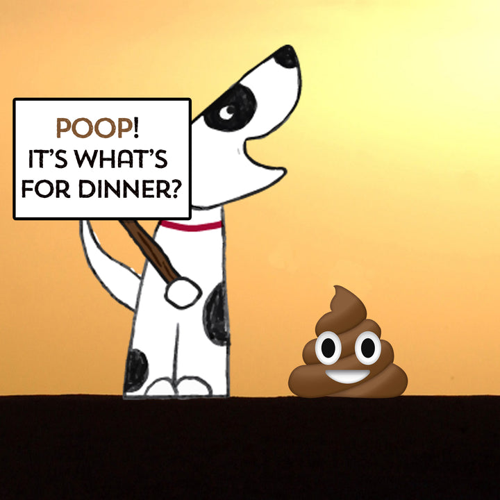 Why Do Dogs Eat Poop and Can I Get My Dog to Stop?