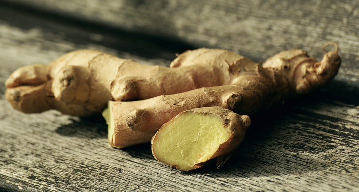 Can Dogs Eat Ginger?
