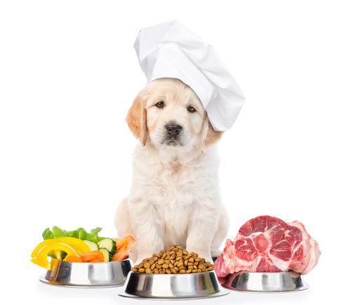 The Pros And Cons Of Feeding Your Pet Raw Dog Food